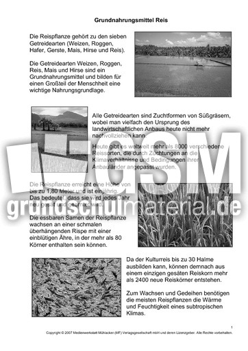 Grundnahrungsmittel-Reis-SW-1-3.pdf